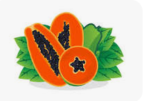 Papaya
